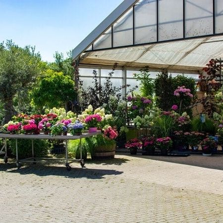 Eine farbenfrohe Gärtnerei mit Pflanzen und Blumen zum Verkauf vor einem Gewächshaus.