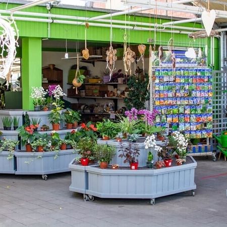 Ein farbenfroher Blumenladen mit ausgestellten Pflanzen und Gartenbedarf.