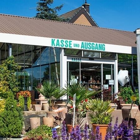 Baumschule mit Pflanzen und Schild „KASSE und AUSGANG“ an einem sonnigen Tag.
