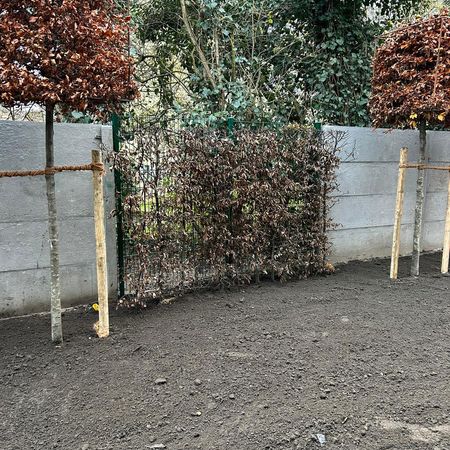 Gartenplanung