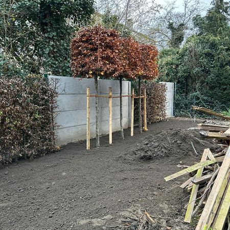 Gartenplanung