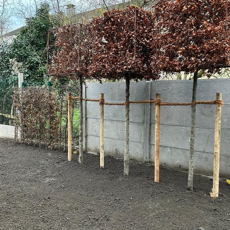 Gartenplanung